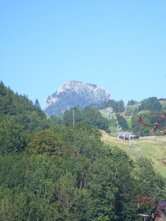 Heidinger Apartment Oberaudorf Exterior photo